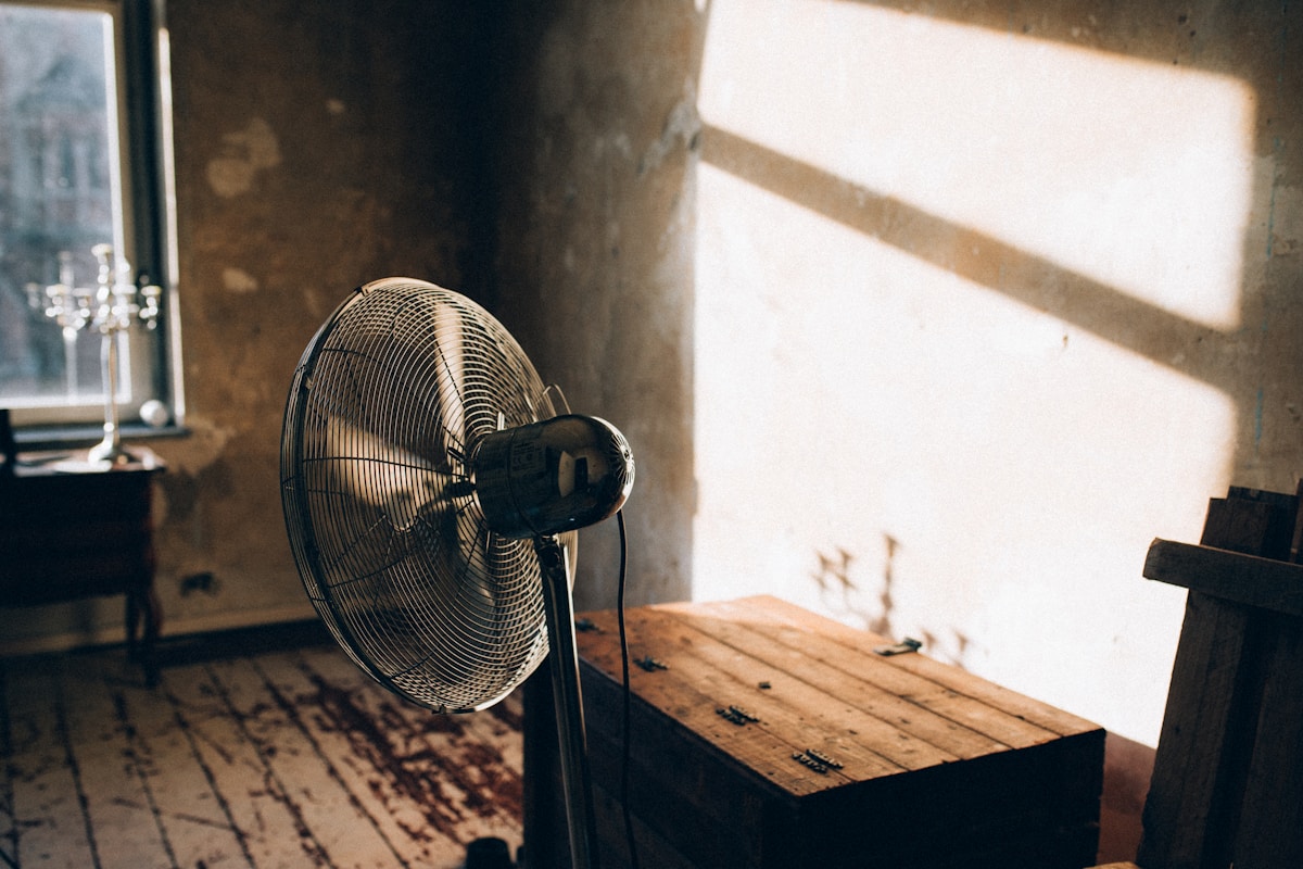 Mold Remediation service in DeSoto, TX